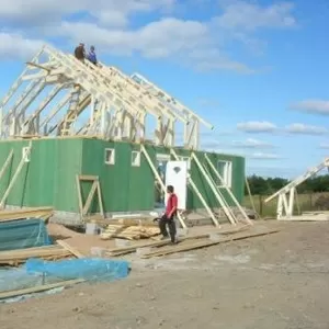 Каркасно-панельные деревянные дома эконом класса из хвойных пород дере