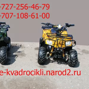 Квадроцикл 110 кубиков-atv 110 cc