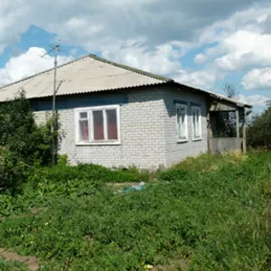 Дом кирпич 120кв. берег Иртыша +гараж металл.6, 5*4 за 7000$