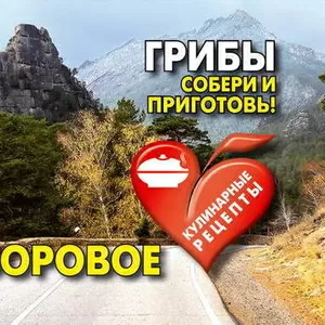 Открытки сувенирные «Неизвестное Боровое. Грибы. Собери и приготовь!»