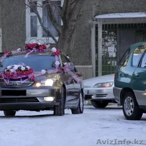 Аренда автомобилей г.Усть-Каменогорск