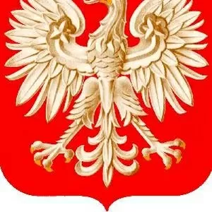 Польский язык для Карты поляка в Интернете (Skype)