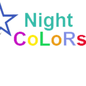 Веб студия Алматы NightColors