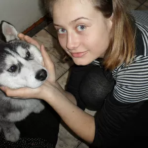 хаска