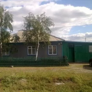 Большой дом