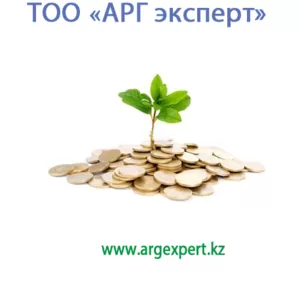 Бухгалтерские курсы.(индивидуальные)