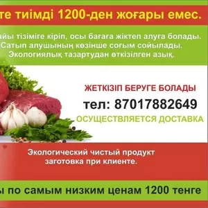 Продам лошадей на согым