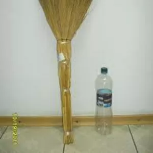 Веник Сорго (Узбекистан)