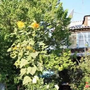 СРОЧНО продаётся двухэтажный, уютный и очень тёплый дом!!!