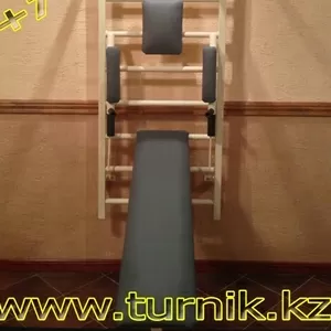 Купить турник настенный для дома и офиса в Алматы,  Астане,  Караганде