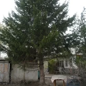 Дача с гаражом