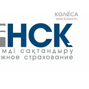 НЕФТЯНАЯ СТРАХОВАЯ КОМПАНИЯ