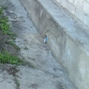 Продам дом в Талдыкоргане ул.Кудайбердиева!Срочно!