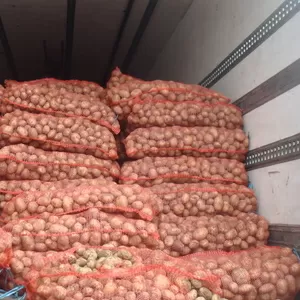 Продажа картофеля оптом