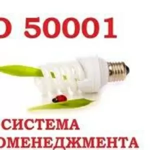 учебный курс: Внедрение системы Энергоменеджмента,  ИСО 50001