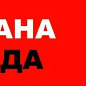 Услуги по безопасности и охране труда.