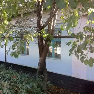 Продам дом