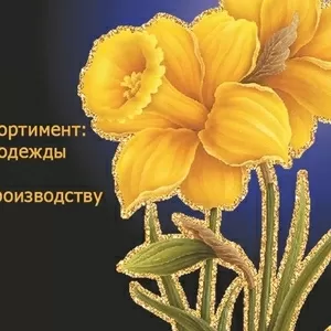 шьем одежду любой сложности