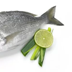Свежемороженая рыба,  морепродукты