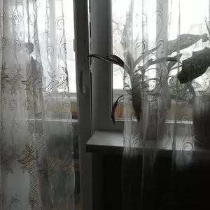 Продам однокомнатную квартиру(собственник)