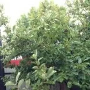 Продам благоустроенный частный дом в п.Дарьинск
