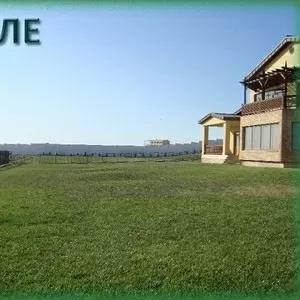 Действующее ИП ищет бизнес-партнёра