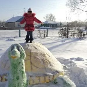 продам дом в 100 км от кокшетау