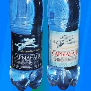 минеральная вода сарыгаш барс