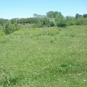 Продам дачный участок в Талгаре