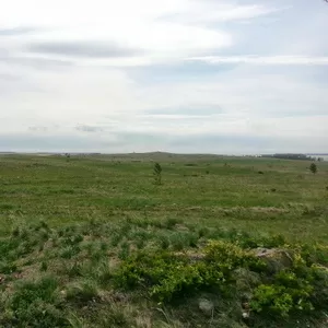 Срочно продам земельный участок
