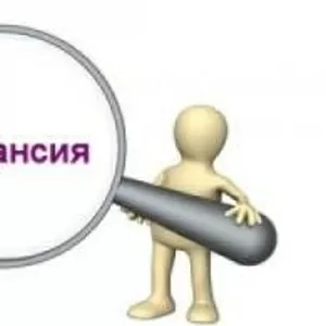 Специалист с навыками программиста