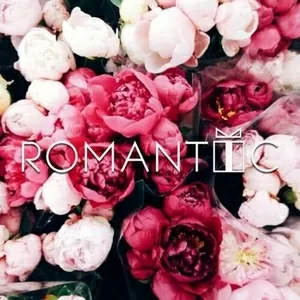 Доставка цветов Актобе ROMANTIC