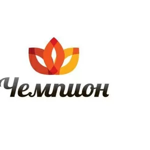 Отделочные работы,  дизайнерские работы