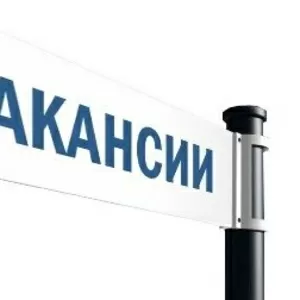 Оптовая организация расширяет штат