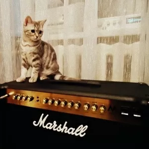 Усилитель Marshall ma50c