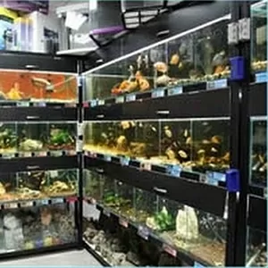 В аквариумный салон требуется продавец