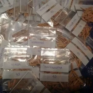Продам семена экзотических цветов Адениумы