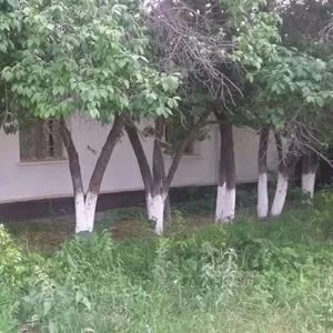 Продам дом в с. Гродиково ул.Мира