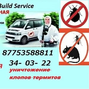 уничтожение клопов термитов 