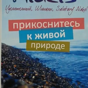 Отдых на озере Алаколь . База отдыха Алазиc от 2500т 70м до пляжа