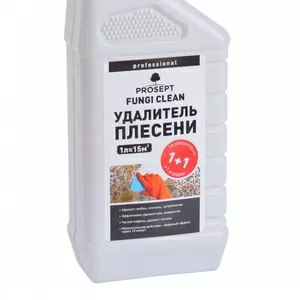 Средство для удаления плесени - Prosept Fungi Clean 1 л