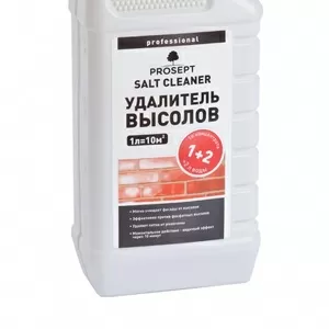 PROSEPT SALT CLEANER - удалитель высолов. Концентрат 1:2,  1л