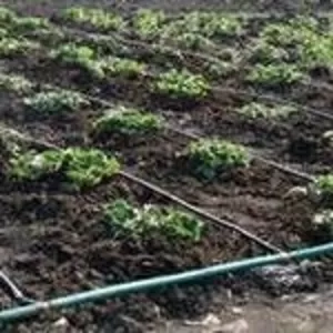 Полив огорода и приусадебного участка