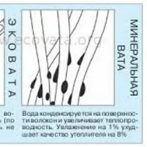 Эковата Шымкент цена ниже всех5%.