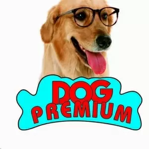 Ветеринарная клиника Dog Premium на Зимней улице 