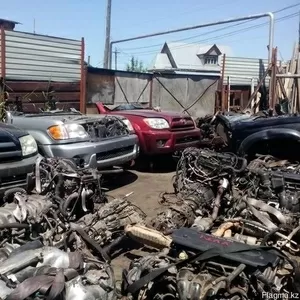 Большой авто-разбор Toyota LC PRADO  4RUNNER