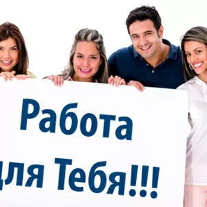консультант в информационный отдел
