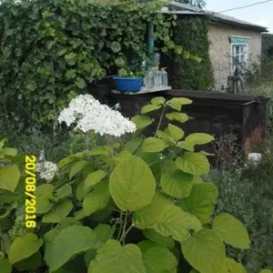 Продам дачу в районе Каменного Карьера