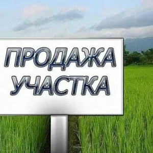 чистый район ,  земля плодородная