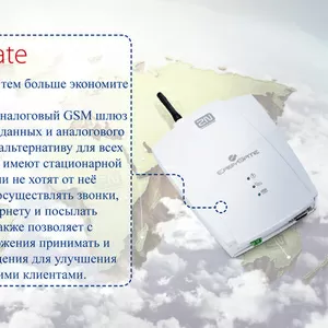 Шлюз аналоговый однопортовый 2N EasyGate (501303E)